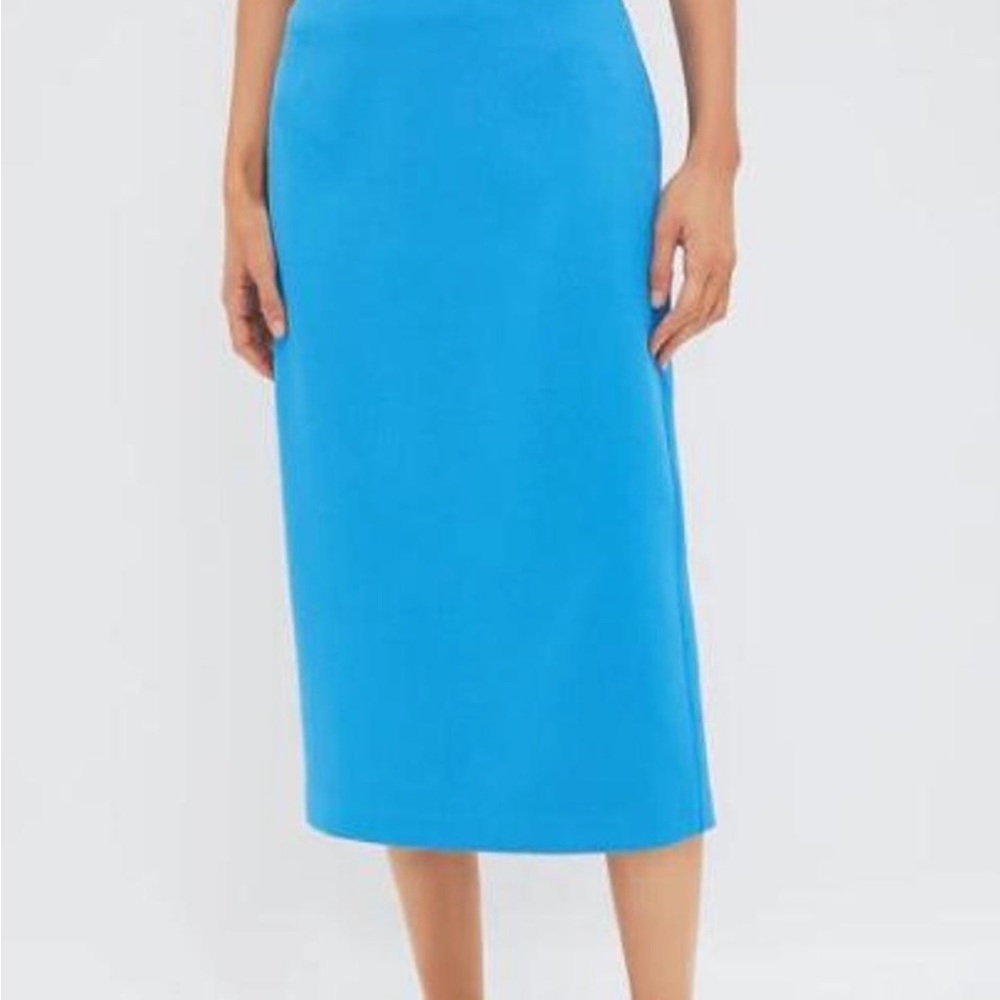NWT Tuckernuck Hyacinth House Azure Christopher Midi Skirt